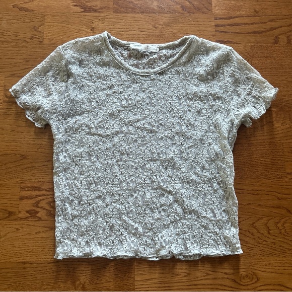 Pull & Bear Womens Lace Crop Top S Sheer Mesh Cropped Gray Baby Tee T Shirt Crew - Picture 1 of 6